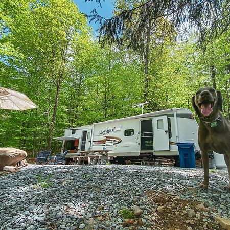 Rv Adventure Roscoe Pet Friendly Hotel Exterior photo